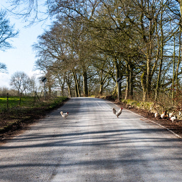 Cycling the Midshires Way