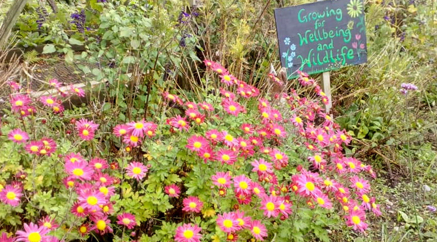 Seeding wellbeing