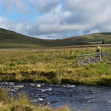 Wild About Argyll