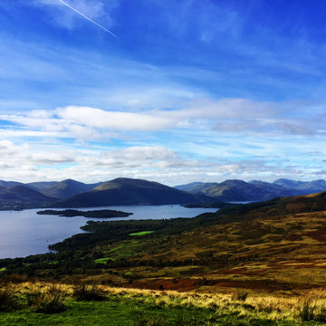 Wild About Argyll
