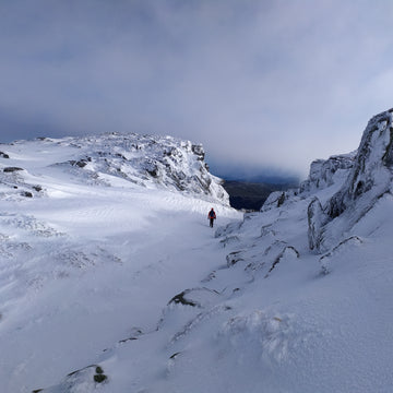 WCS 2015