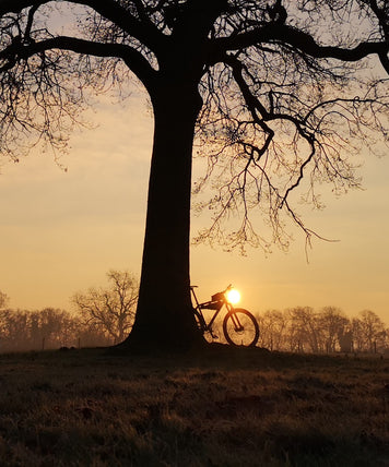 When Does a Holiday Become an Adventure?