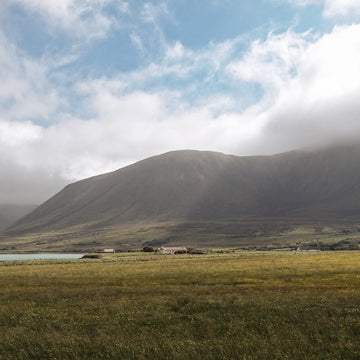 Wild About Argyll