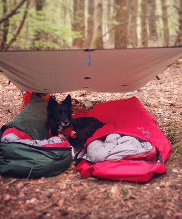 Mastering ultralight bivvy setups for camping at its lightest