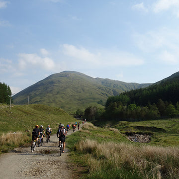Wild About Argyll