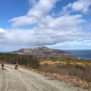 Wild About Argyll