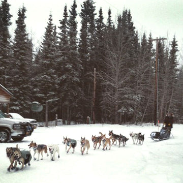 When Does A Holiday Become An Adventure?