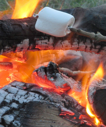 DofE Without the Price Tag