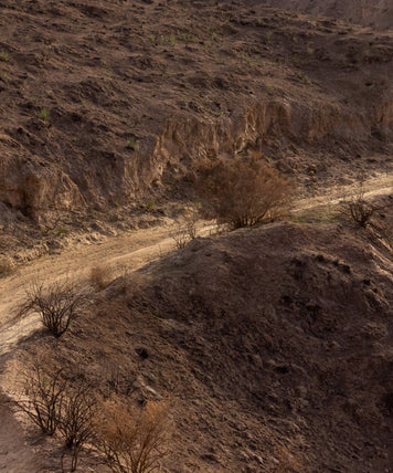 Compare Gravel Race and Touring Bikes