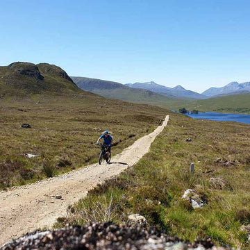 Wild About Argyll