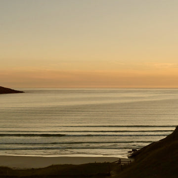 Wild About Argyll