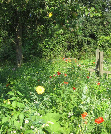 Heeley People's Park