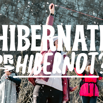 Schiehallion Winter Camp