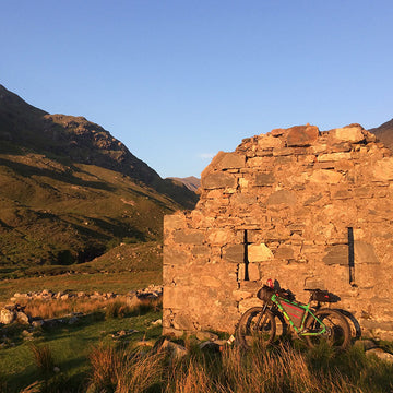 Wild About Argyll