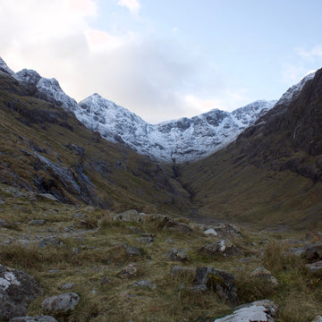 The half-way point: Beauties and the Bog