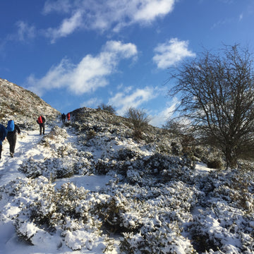 Surviving an alpine hut