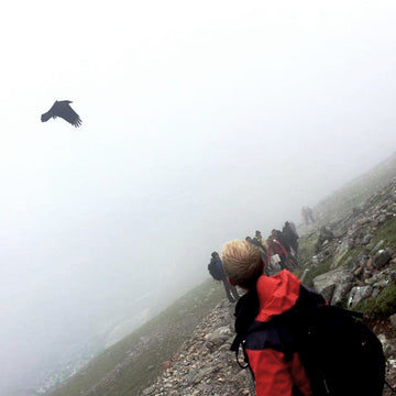 The half-way point: Beauties and the Bog