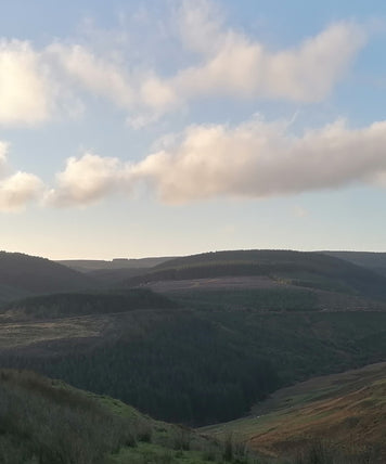 Central Forestry Wales Bikepacking Trip