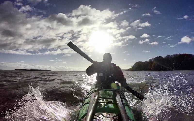 Seals and a Beast of a Paddle Home