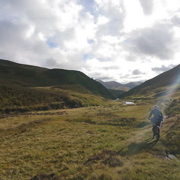 Wild About Argyll