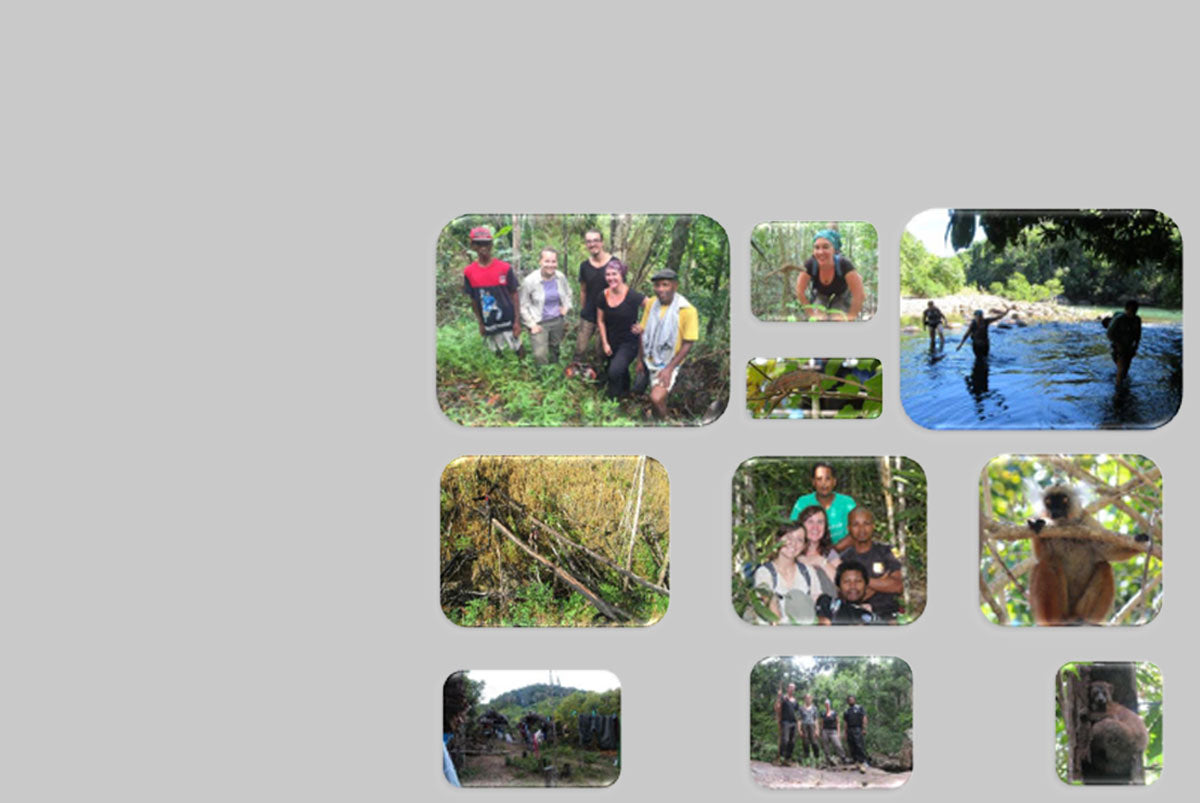 Conserving Lemurs