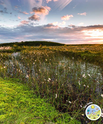 More on Moors