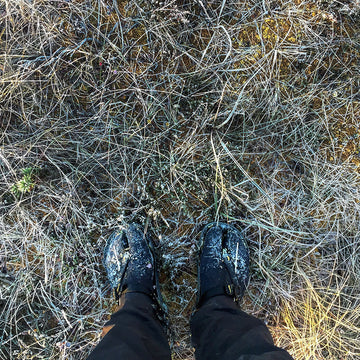 Barefoot and Stupid