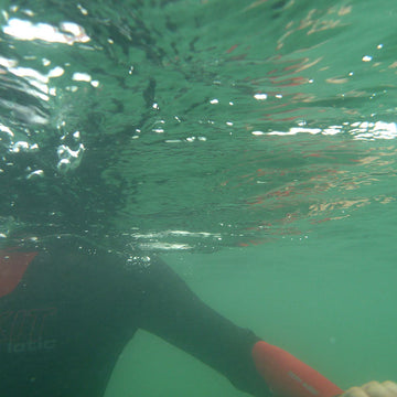 Hydrotherapy! Escape and Inspiration in cold water
