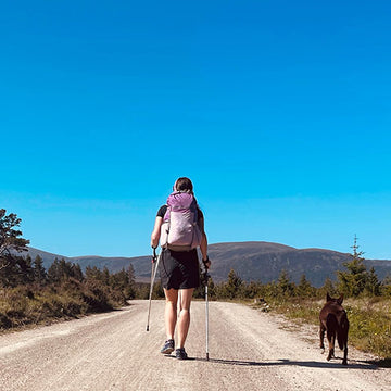 The half-way point: Beauties and the Bog