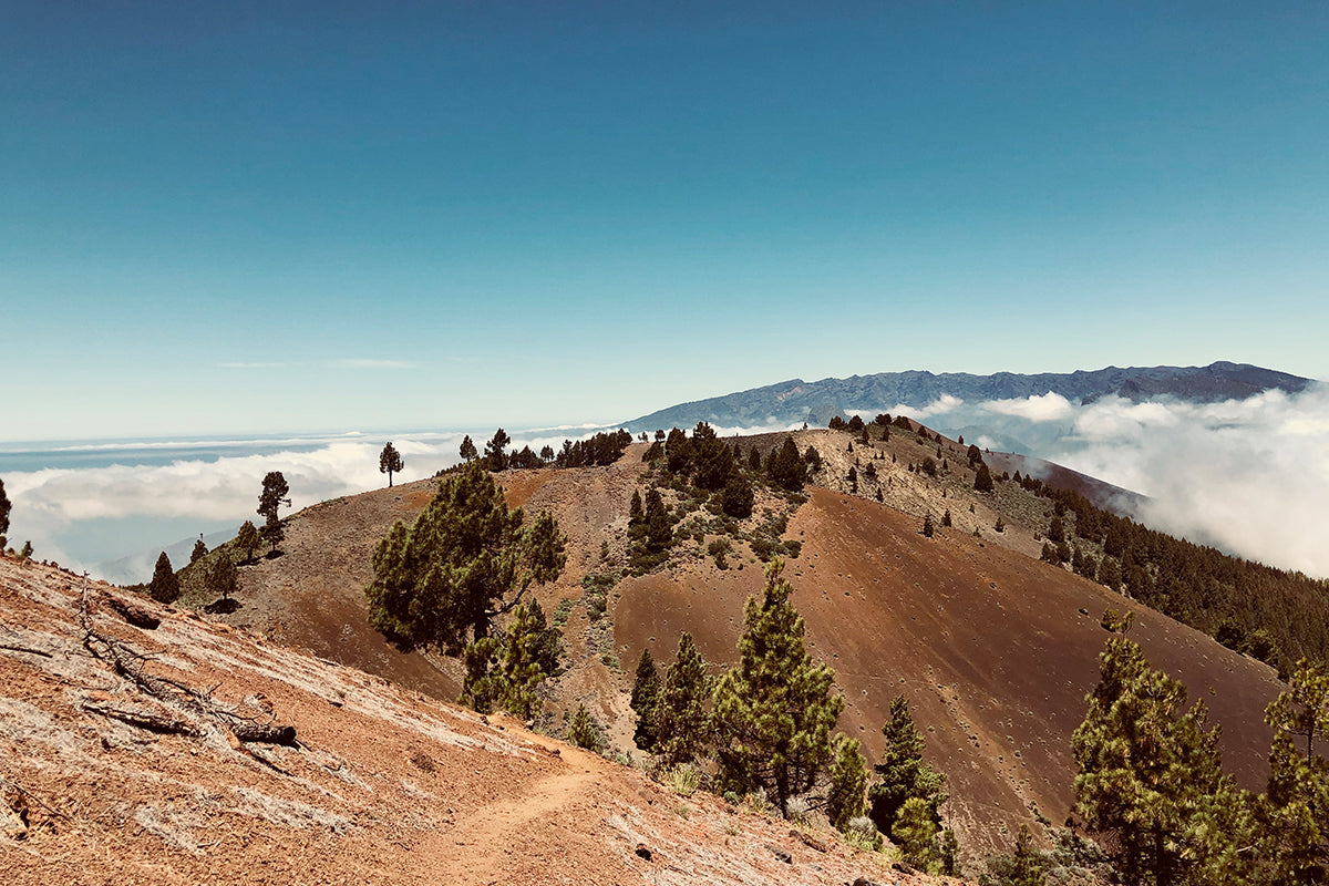 The Transvulcania
