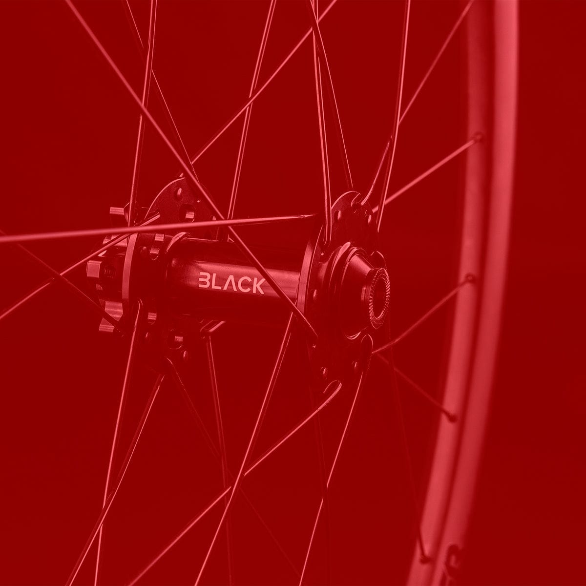 Summer Sale: Bike and Components