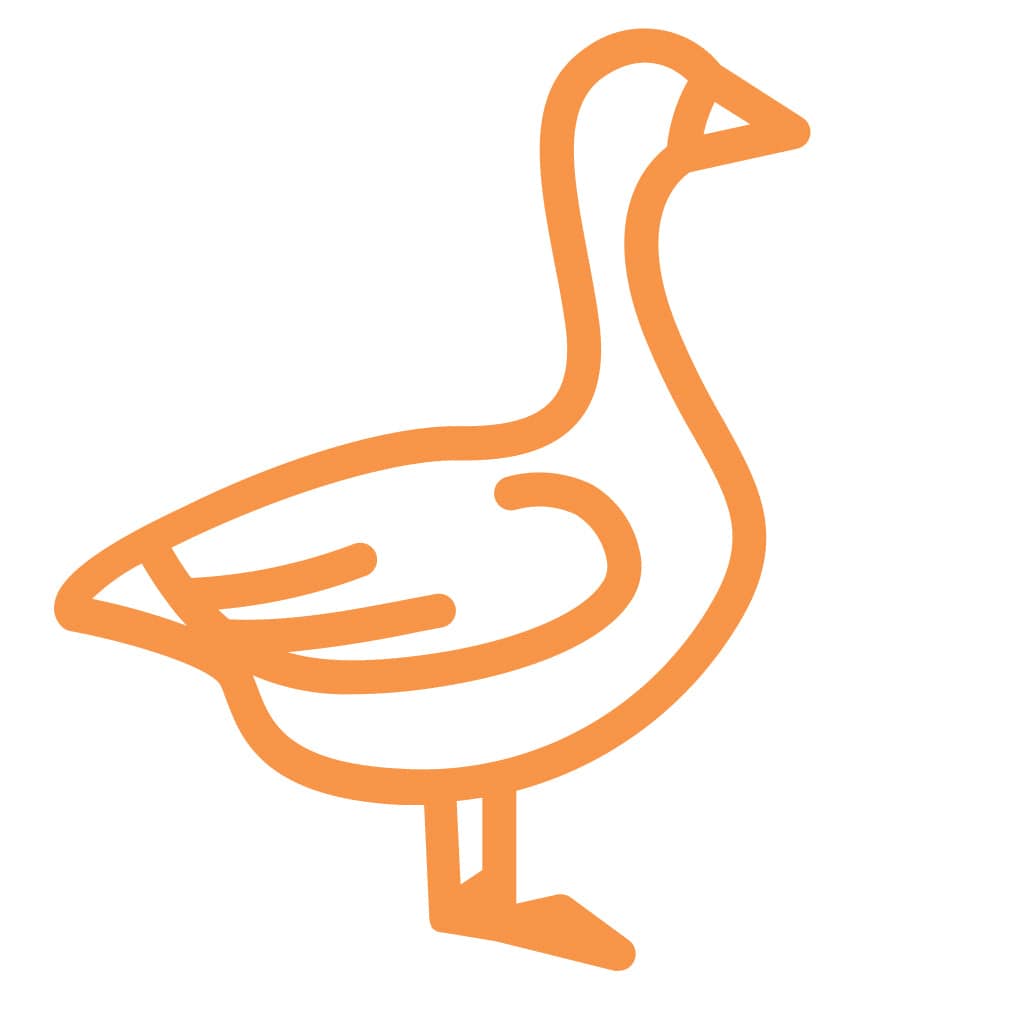 Down icon