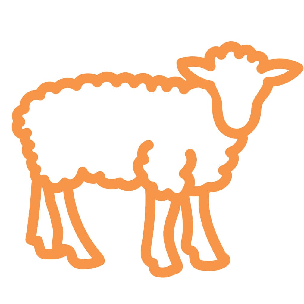 Wool icon